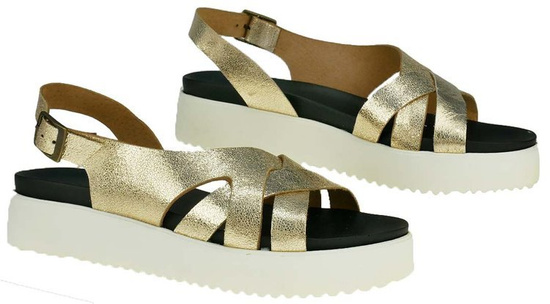 LAN-KARS C38-Z Złoty