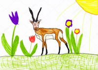 ANTYLOPA 648 sandały